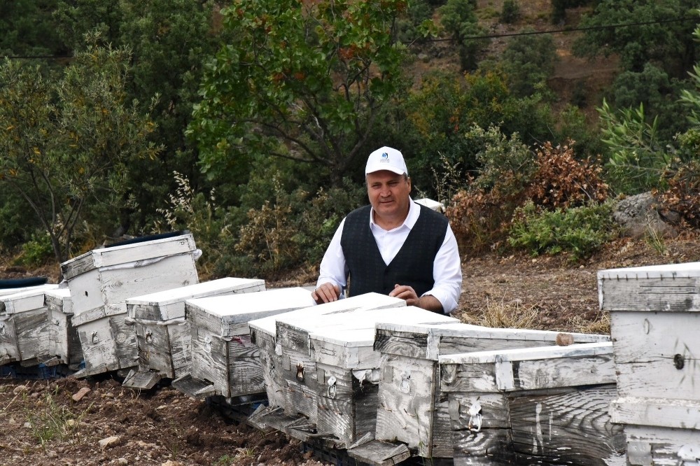 Yuntdağı’nda arıcılık hızla gelişiyor 