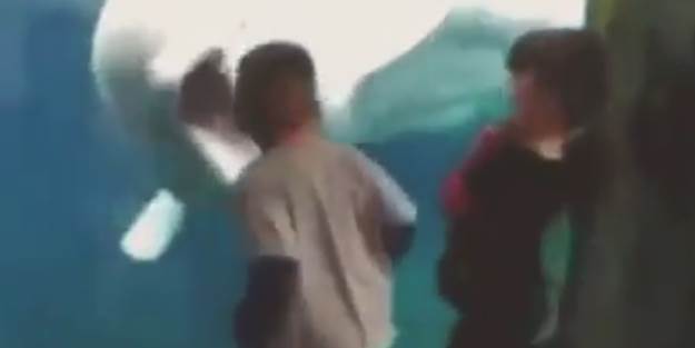 Yunusun çocuklarla savaşı