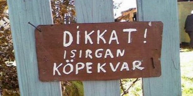 Yurdum insanı güldürüyor - FOTO