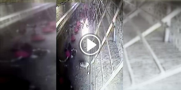 'Yürek yiyen' tavuklar kümese giren tilkiyi kovaladı!