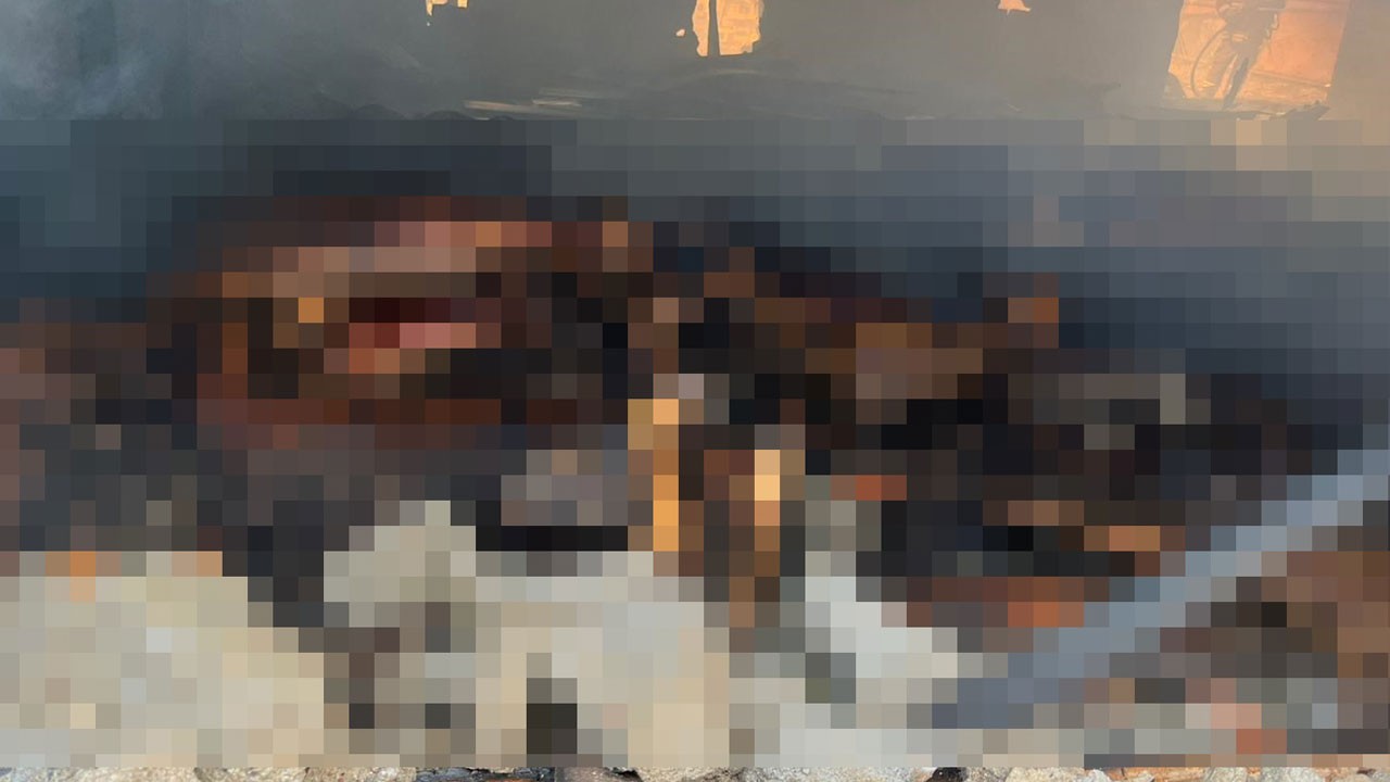 Yürekler ağızlara geldi! 30 koyun, 12 kuzu telef oldu