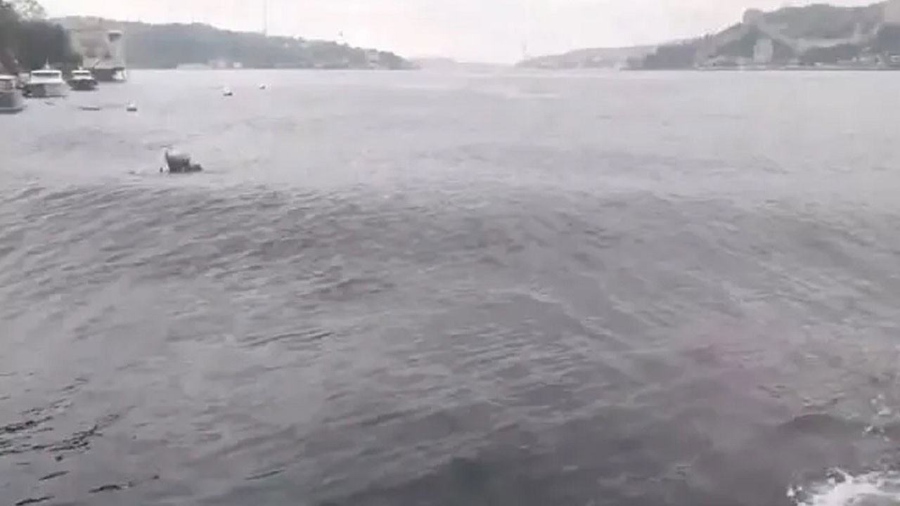 Yürekler ağızlarda! Marmara’da tsunami riski var mı?