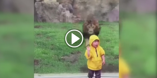 Yürekleri ağza getiren o anlar!