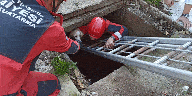Yürekleri ısıtan görüntü!