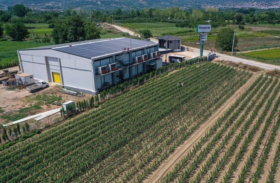 Yurt dışında kapış kapış gidiyor! Tıkır tıkır işleyen sistem kurup adeta para basıyorlar