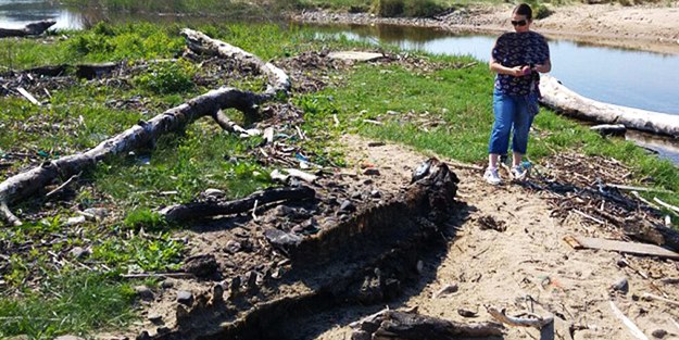 Yürüyüş esnasında rastladıkları dev kalıntı şaşkınlığa uğrattı