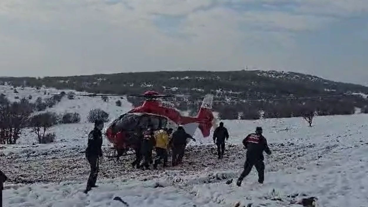 Yürüyüş yaparken ayı saldırdı! Helikopterle kaldırıldı