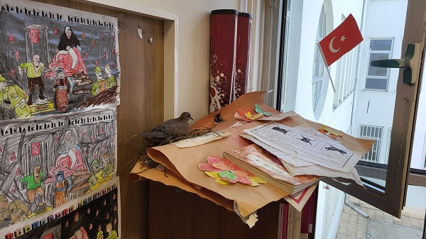 Yusufçuk kuşu öğrencilerle böyle ders dinliyor