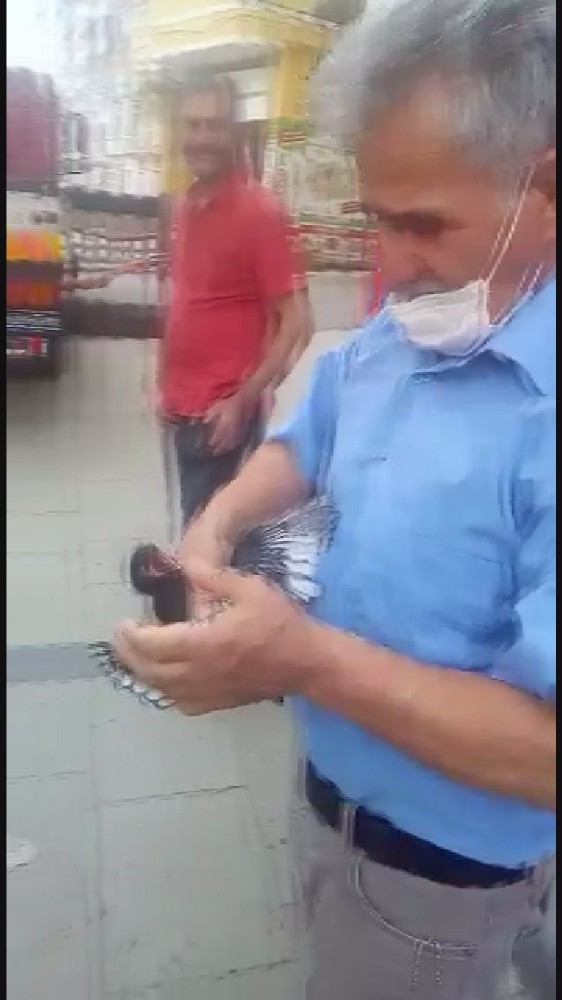 Yuvasından düşen yavru karganın imdadına itfaiye yetişti 