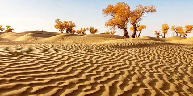 Yüz binlerce yıl öncesine dayanıyor! Taklamakan Çölü’nün oluştuğu tarih ortaya çıktı