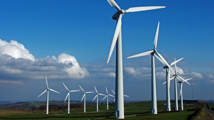 'Yüzde 100 yenilenebilir enerjiye geçiş mümkün'