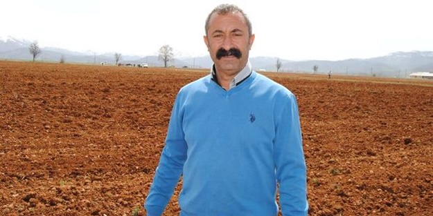 Yüzde 65'i çorak arazi olan Tunceli'de 55 bin ağaca göz dikti!