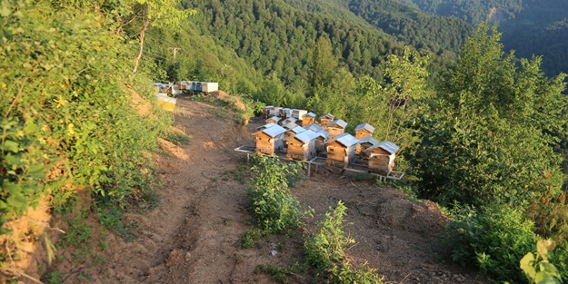 Yüzde 90’ı ülkemizde üretiliyor! İşte Türkiye'nin yeni hedefi