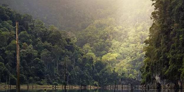 Yüzden fazla lider anlaştı! Hedef 2030'a kadar durdurmak