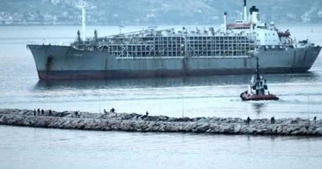 'Yüzen ahır' 9 bin 300 büyükbaş hayvan ile geldi