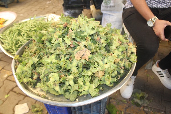 Yüzler gülüyor! Taze fındıklar tezgahları süsledi