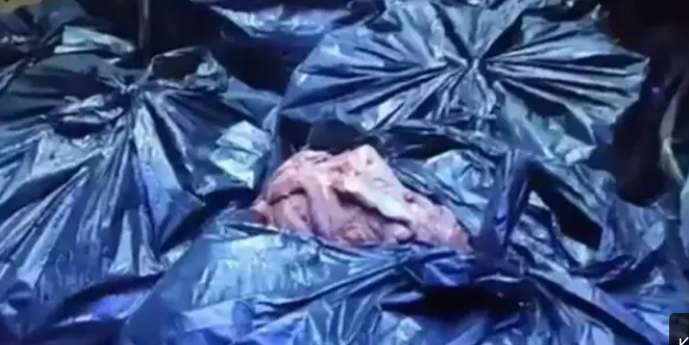 Yüzlerce kilo at ve eşek eti ile yakalanmışlardı, serbest bırakıldılar