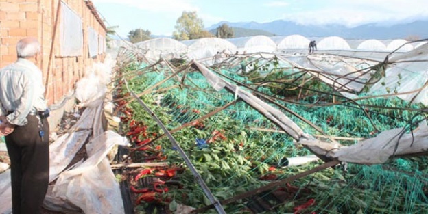 Yüzlerce sera hortum yüzünden yerle bir oldu