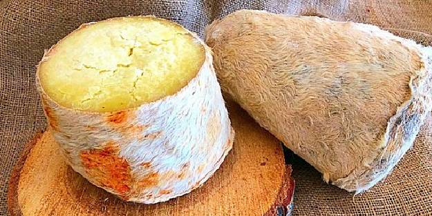 Yüzlerce şifalı otu bünyesinde barındırıyor