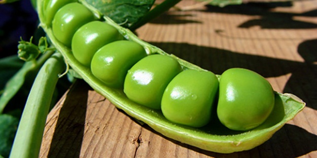 Yüzünüzü canlandırın