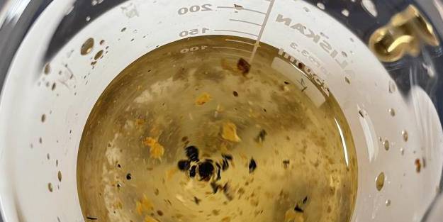 Yüzyıllardır şifa veren propolis