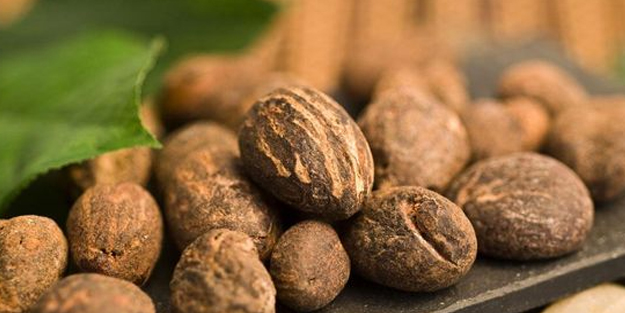 Yüzyıllık güzellik sırrı ortaya çıktı: Vücudu 10 kat hızlı yeniliyor! Her zaman yeri ayrı, çok farklı olan o şey