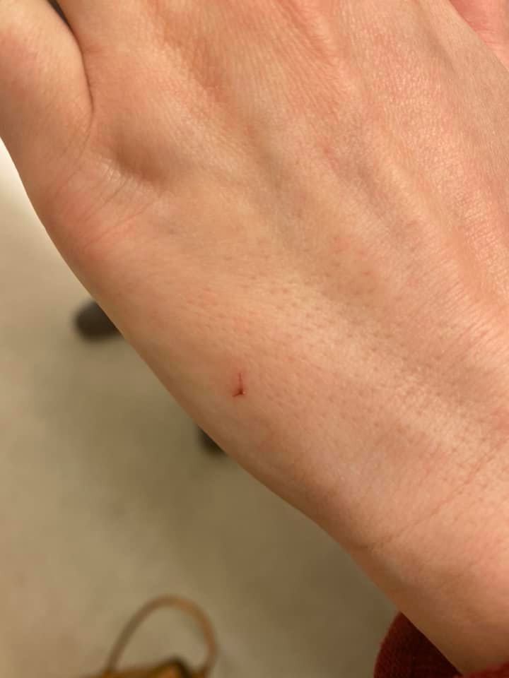 Zaharova’dan Gürcü gazetecilerin Lavrov’a saldırmaya çalıştığı iddiası 