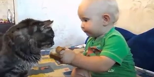 Zalim dünyaya örnek olsun! İşte masumiyet...