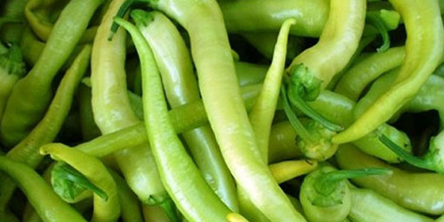 Zam şampiyonu ‘Çarli’