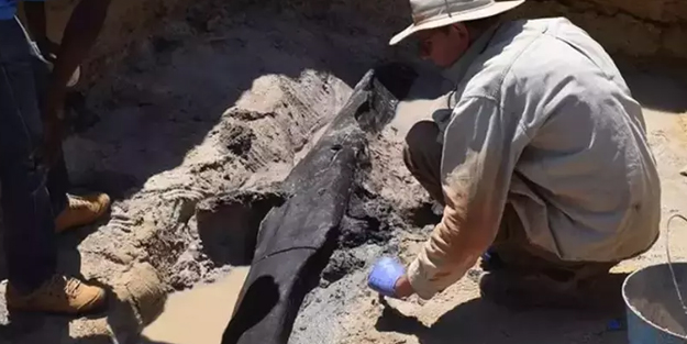 Zambiya'da bilim insanları topladığı örneklerle dünyaya duyurdu: 500 bin yıllık ahşap bir yapı bulundu! Ülke şaşkına döndü