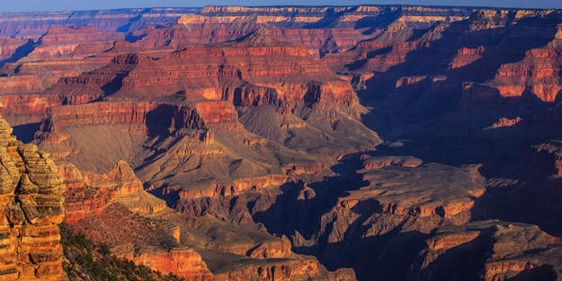 'Zarar veriyor' diye kampanya başlattılar! ABD'de 'katliam' için 45 bin kişi başvurdu!