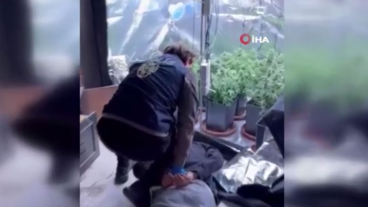 Zehir tacirinden akılalmaz düzen! Evini uyuşturucu serasına çevirdi