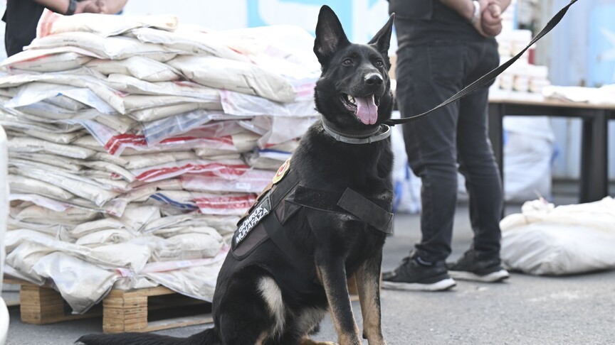 Zehir tacirlerine çifte operasyon! 420 kilogram uyuşturucu ele geçirdi