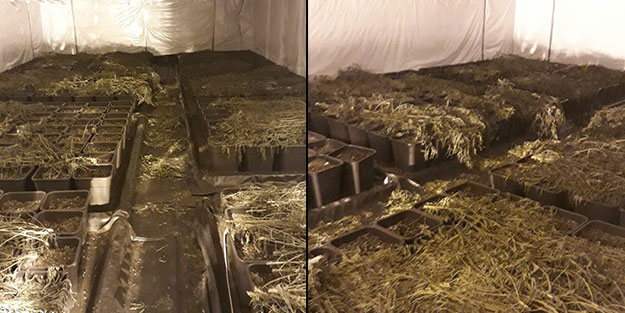 Zehir tacirlerine darbe! 500 kilogram ele geçirildi