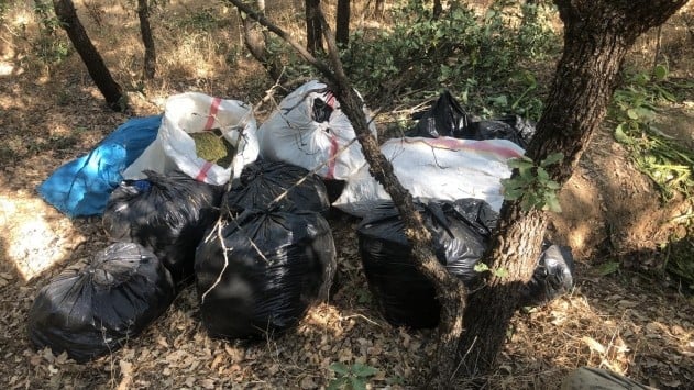Zehir tacirlerinin kökleri kesildi