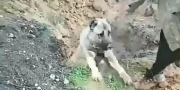 O görüntüler sosyal medyayı ayağa kaldırmıştı! Karar verildi