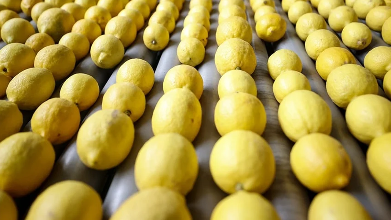 Zehirli limonlar Türkiye'ye iade edildi