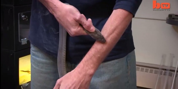 Zehirli yılanlara kollarını ısırttı