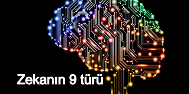 Zekanın 9 türü var… Peki sizinki hangisi?
