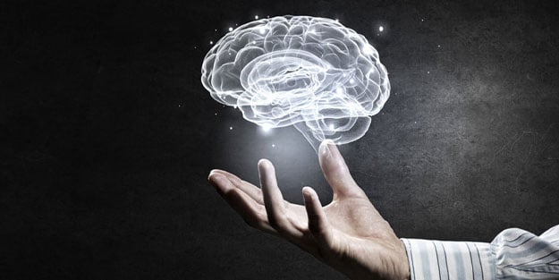 Zekayı artıran yiyecek ve besinler! Hafızayı geliştiriyor unutkanlığa engel oluyor