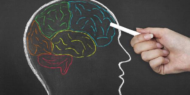 Zekayı geliştiren doğal içecek tarifleri