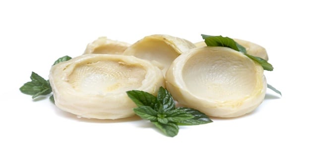 Zengin lif kaynağı enginar için tarif önerileri