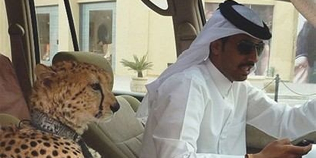 Zenginlik insana bakın neler yaptırıyor