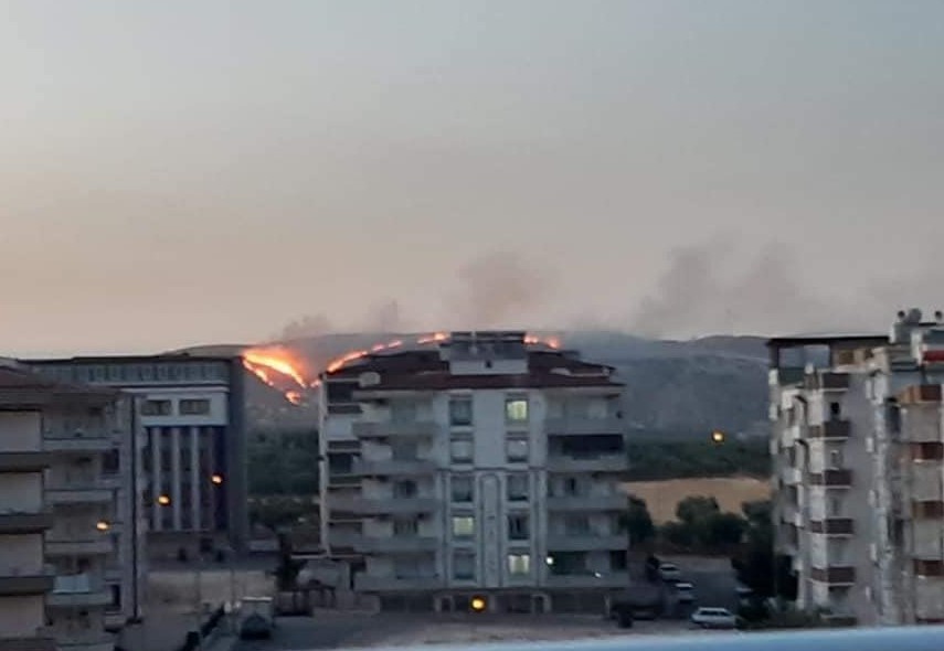 Zergil Dağı’ndaki orman yangını söndürüldü 
