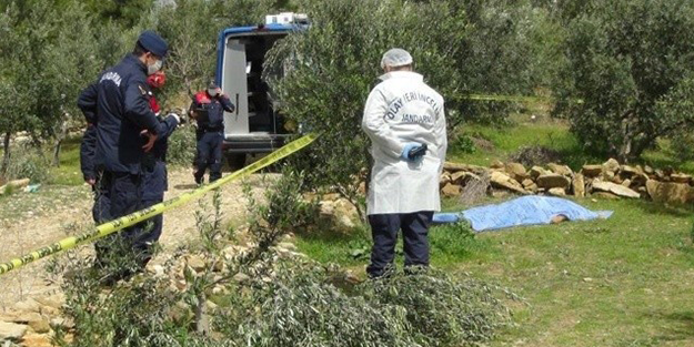 Zeytin ağacı için kardeşini öldüren şahıstan ilginç savunma