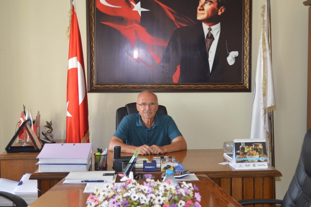 Zeytin ağaçları için sulama isteniyor 