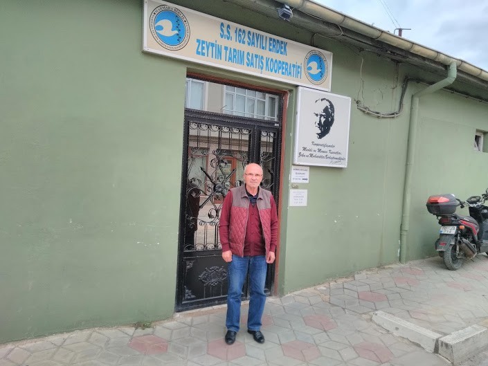 Zeytin alımları 6 Ocağa kadar uzatıldı 