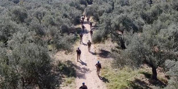 Zeytin bahçelerini resmen komandolar koruyor!