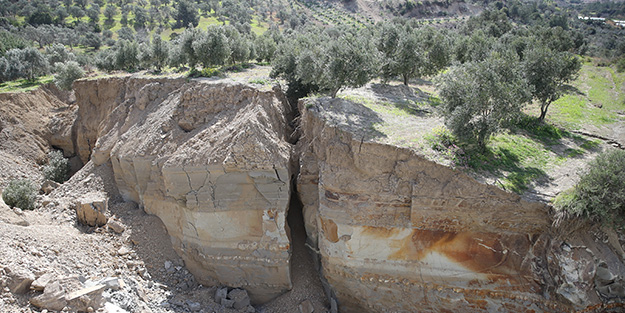 Zeytin bahçesindeki görüntü depremin boyutunu gözler önüne serdi