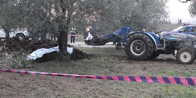 Zeytin bahçesine getirilen gübrenin içinde ceset bulundu